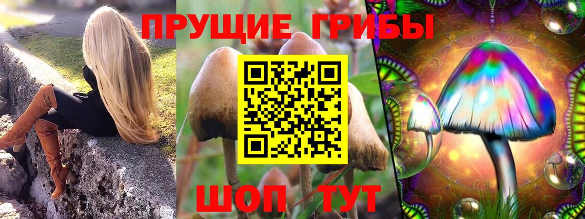 Галлюциногенные грибы MAGIC MUSHROOMS Курчалой