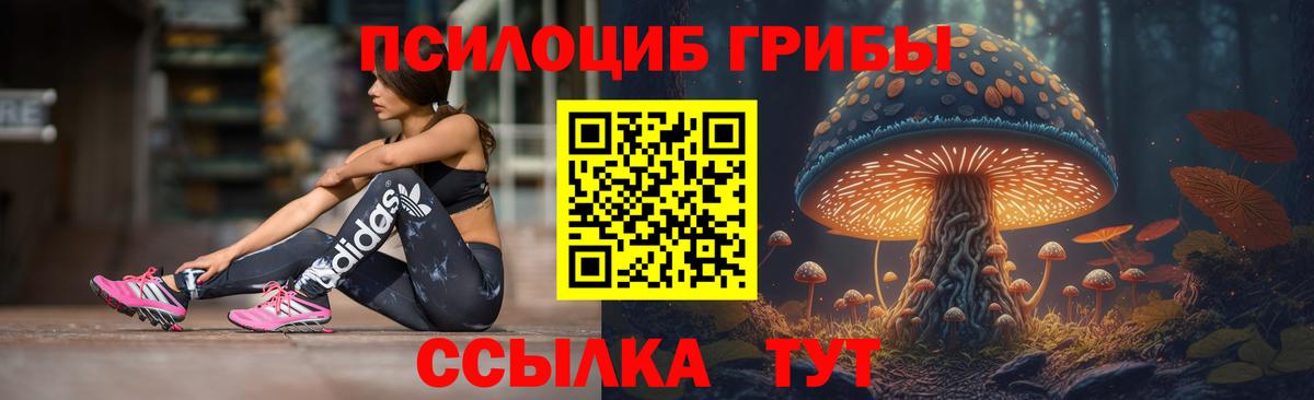 Курчалой  где продают   Вход с VPN  Галлюциногенные грибы мухоморы 